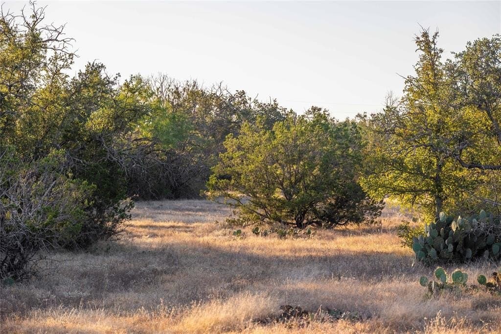 445 acres in Coleman County - photo 33