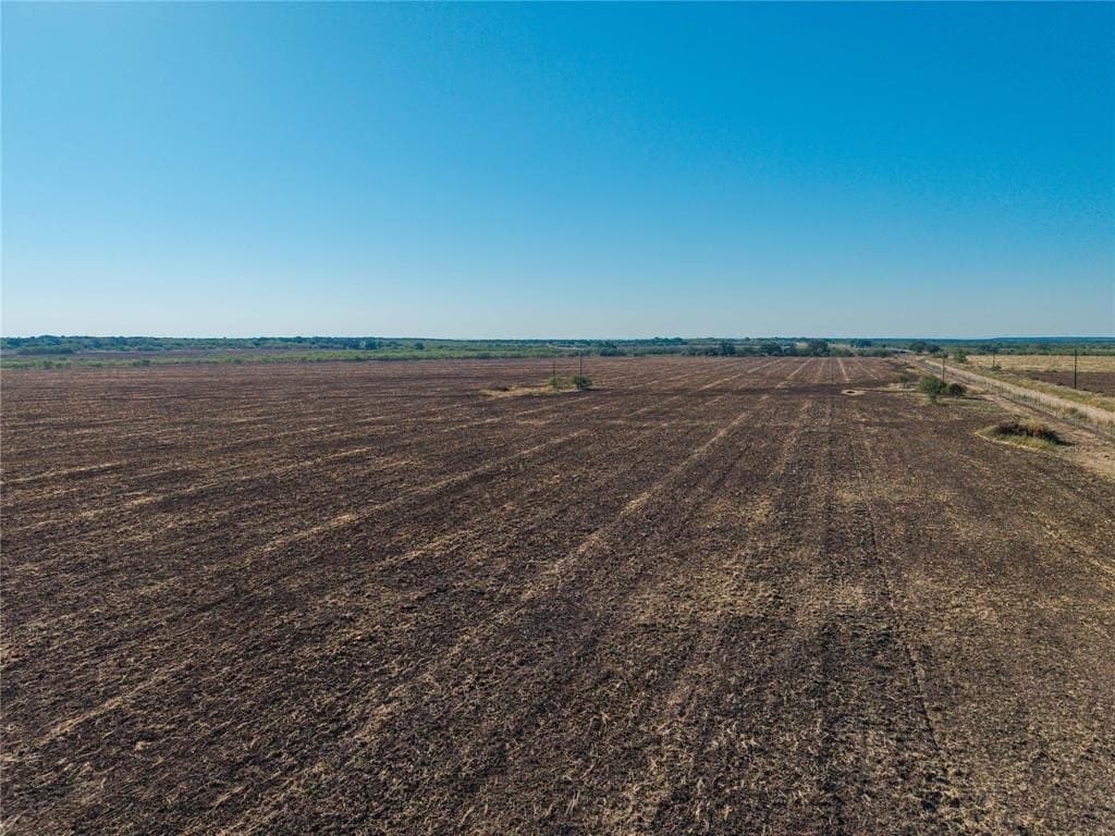 445 acres in Coleman County - photo 7