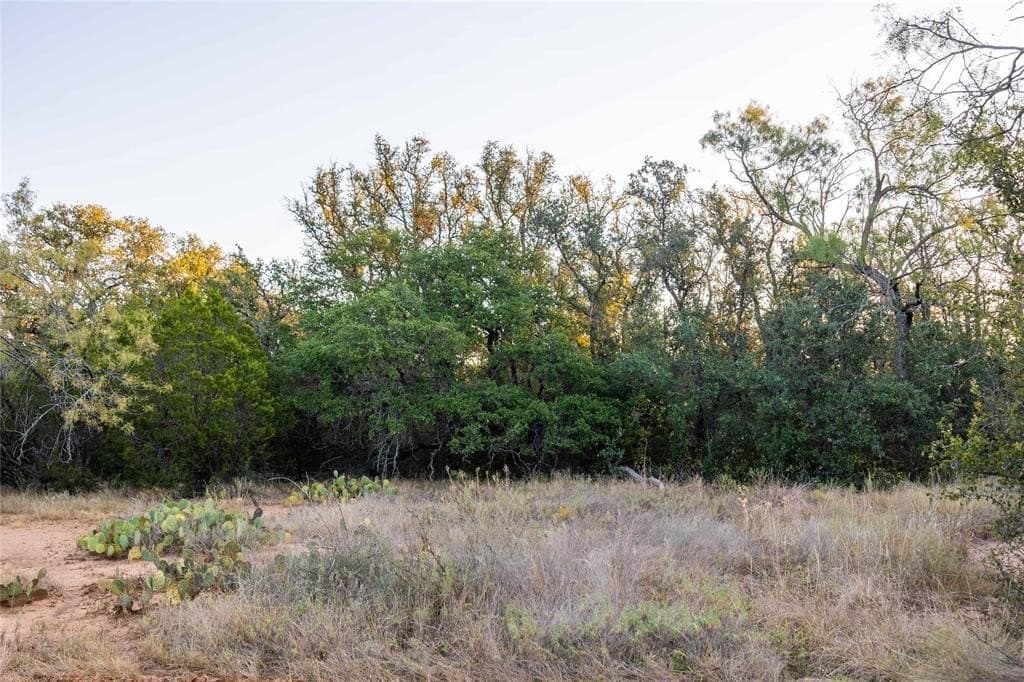 445 acres in Coleman County - photo 21