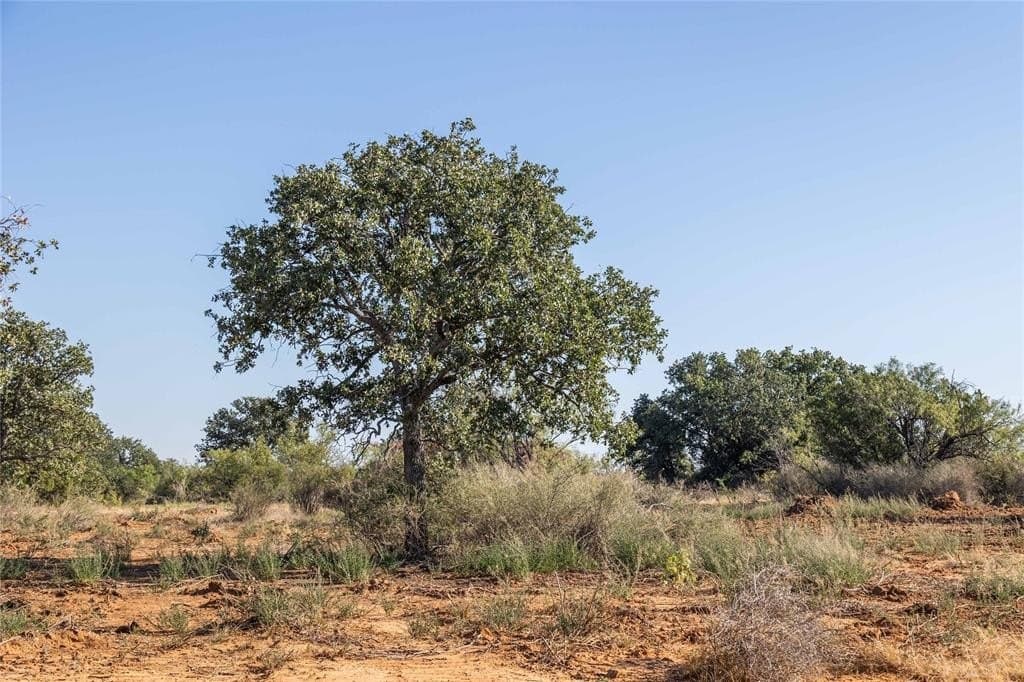 445 acres in Coleman County - photo 35