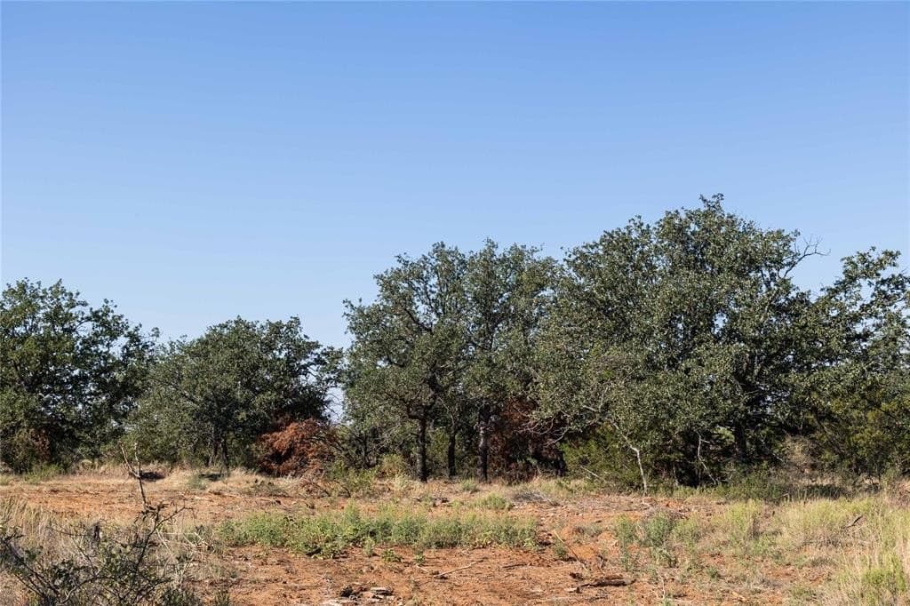 445 acres in Coleman County - photo 39
