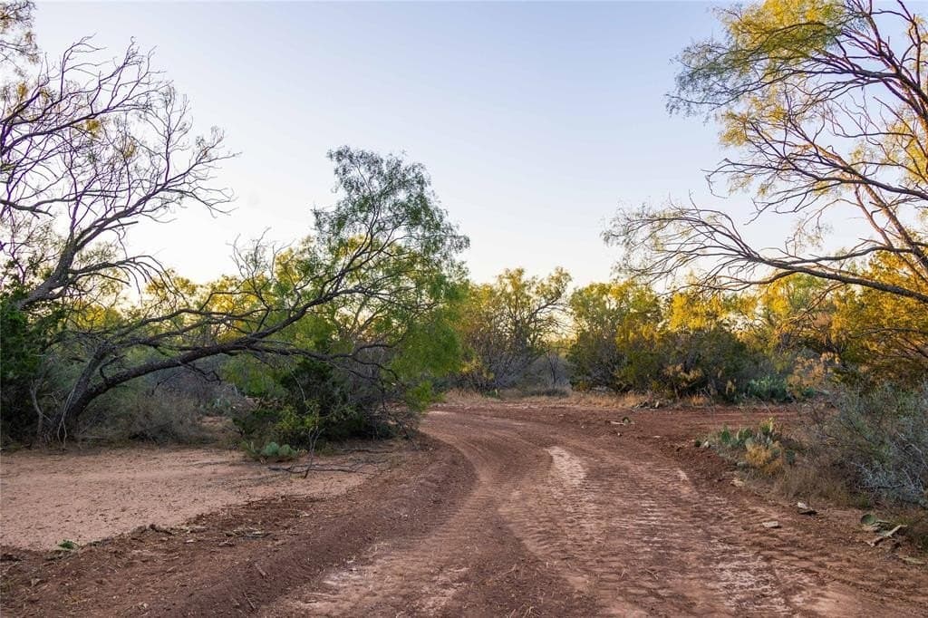 445 acres in Coleman County - photo 22