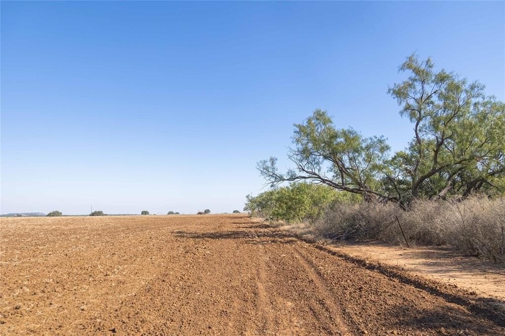 445 acres in Coleman County - photo 3