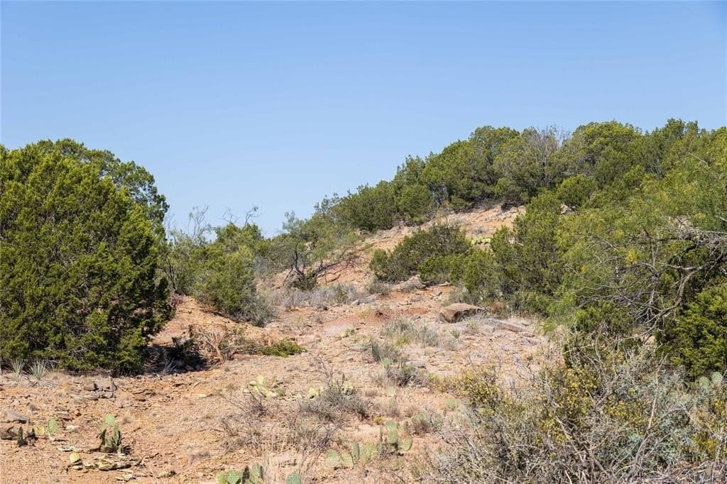 445 acres in Coleman County - photo 6