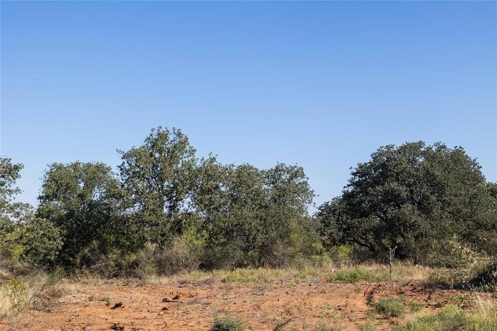 445 acres in Coleman County - photo 38