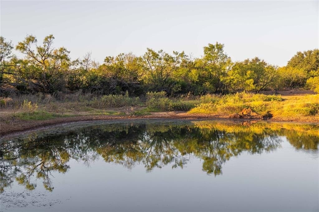 445 acres in Coleman County - photo 28