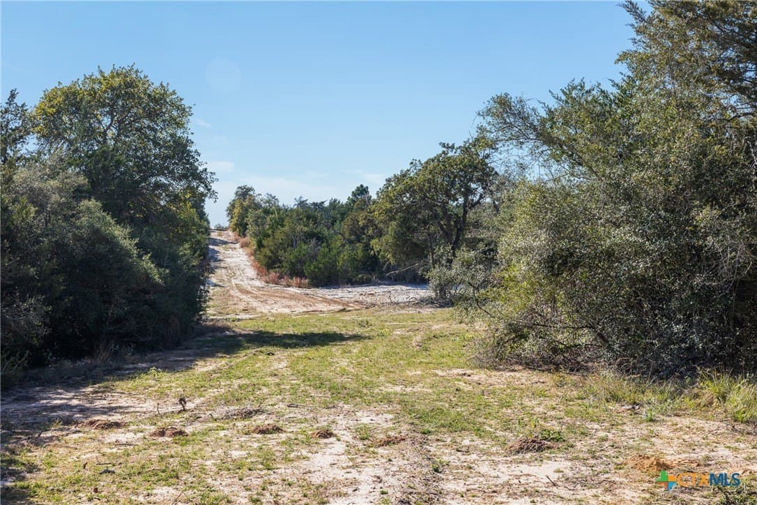 163.63 acres in Caldwell County - photo 25