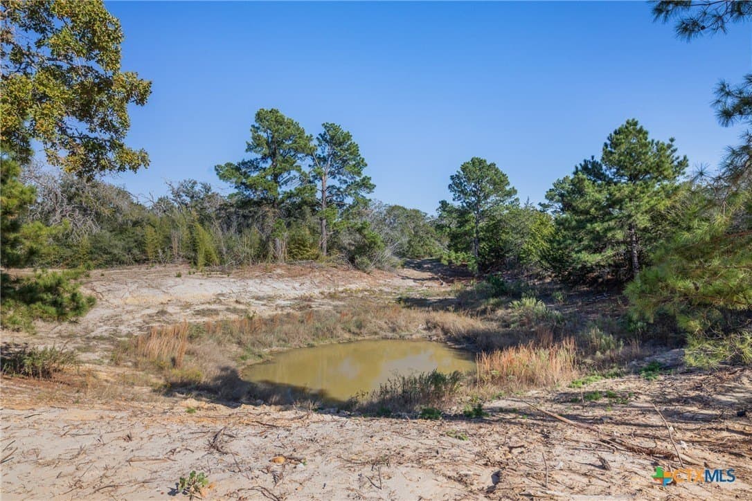 163.63 acres in Caldwell County - photo 2