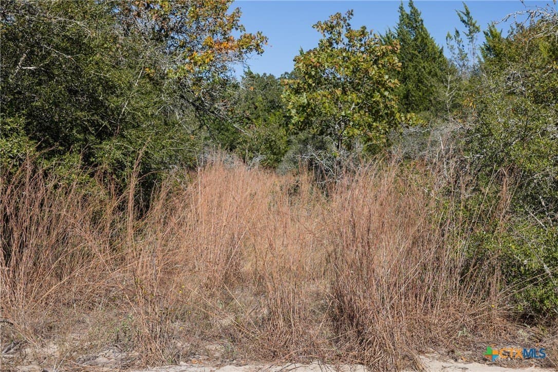 163.63 acres in Caldwell County - photo 23