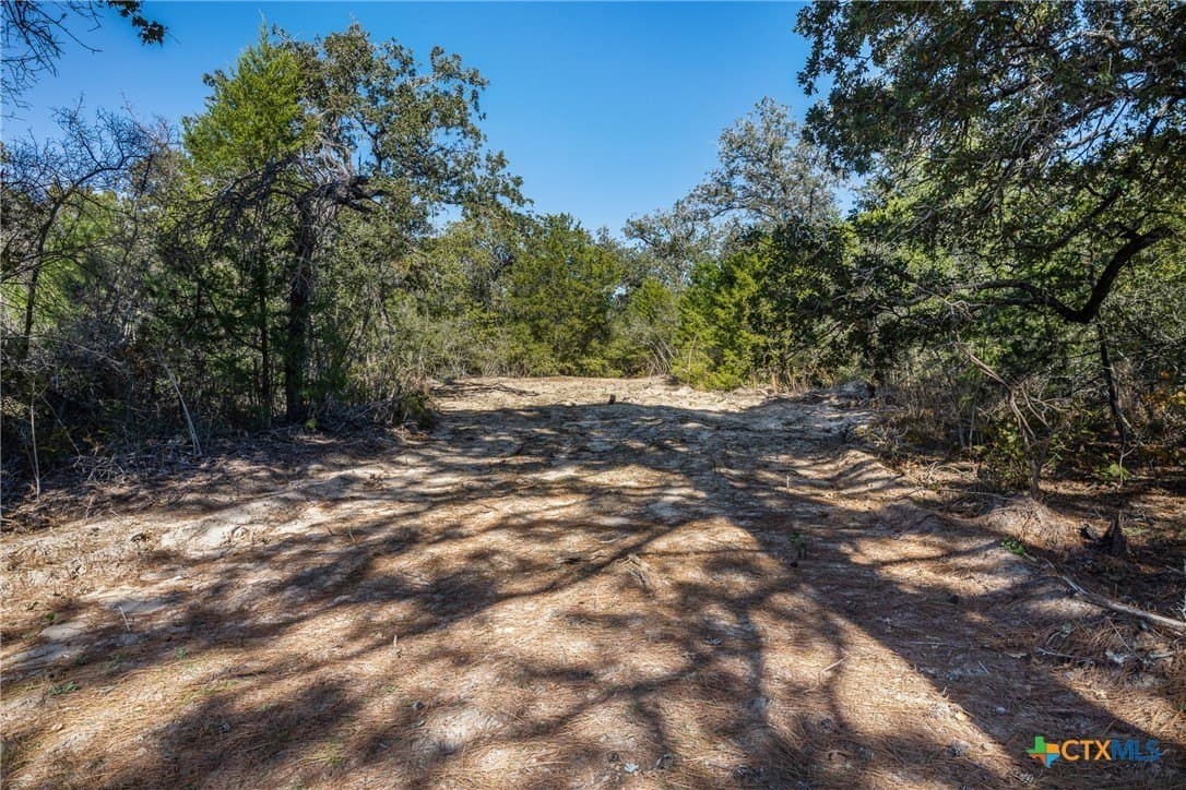163.63 acres in Caldwell County - photo 19