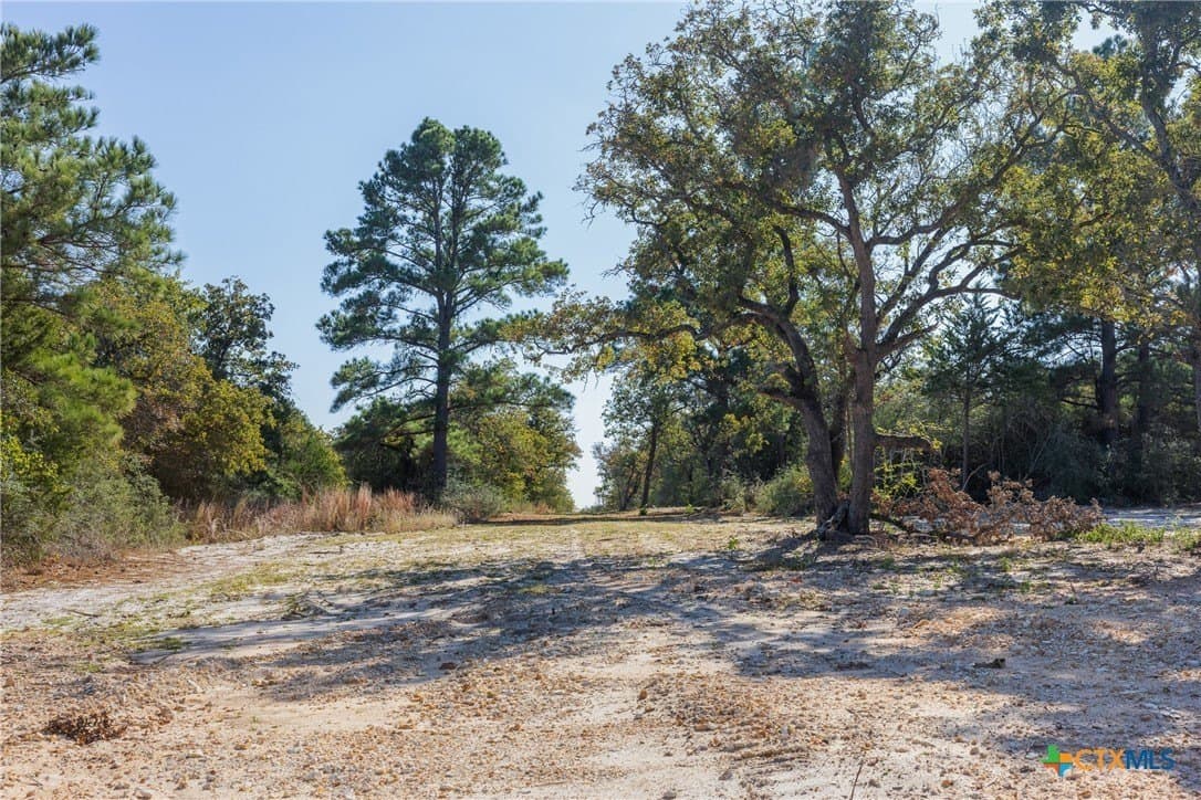 163.63 acres in Caldwell County - photo 12