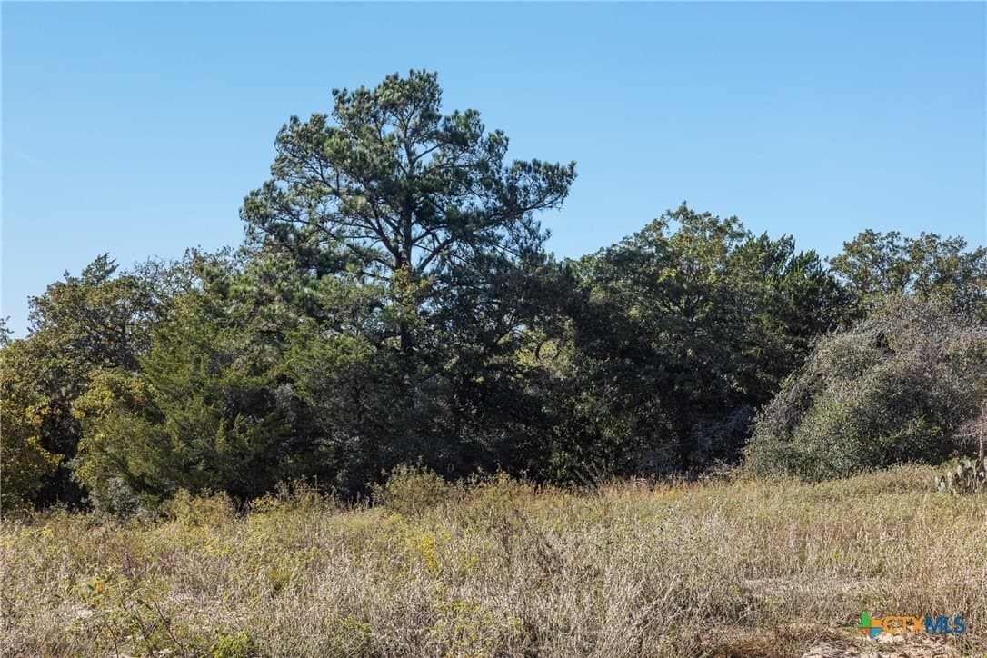 163.63 acres in Caldwell County - photo 20