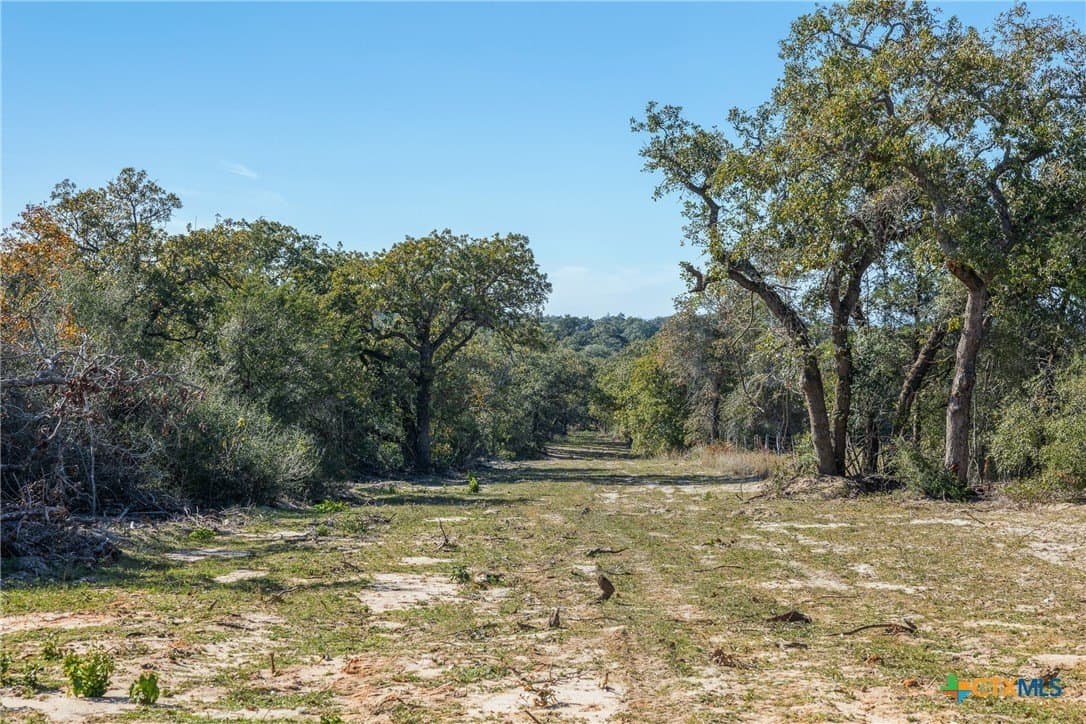 163.63 acres in Caldwell County - photo 15