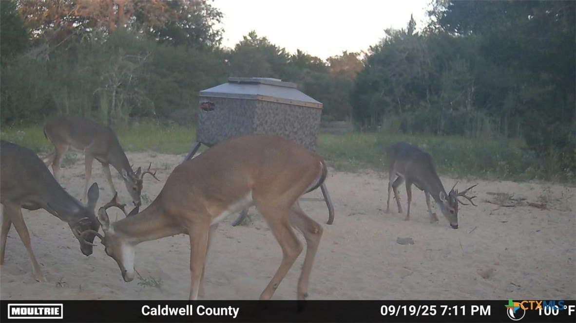 163.63 acres in Caldwell County - photo 39