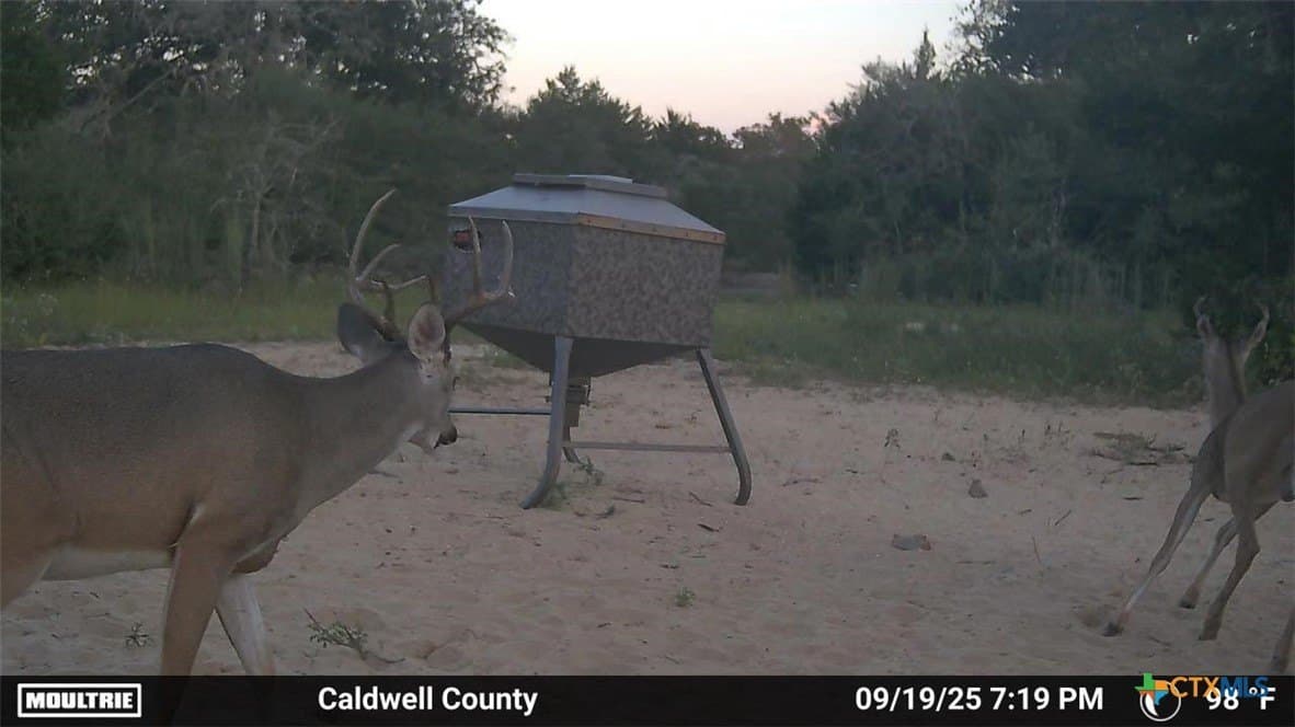 163.63 acres in Caldwell County - photo 40