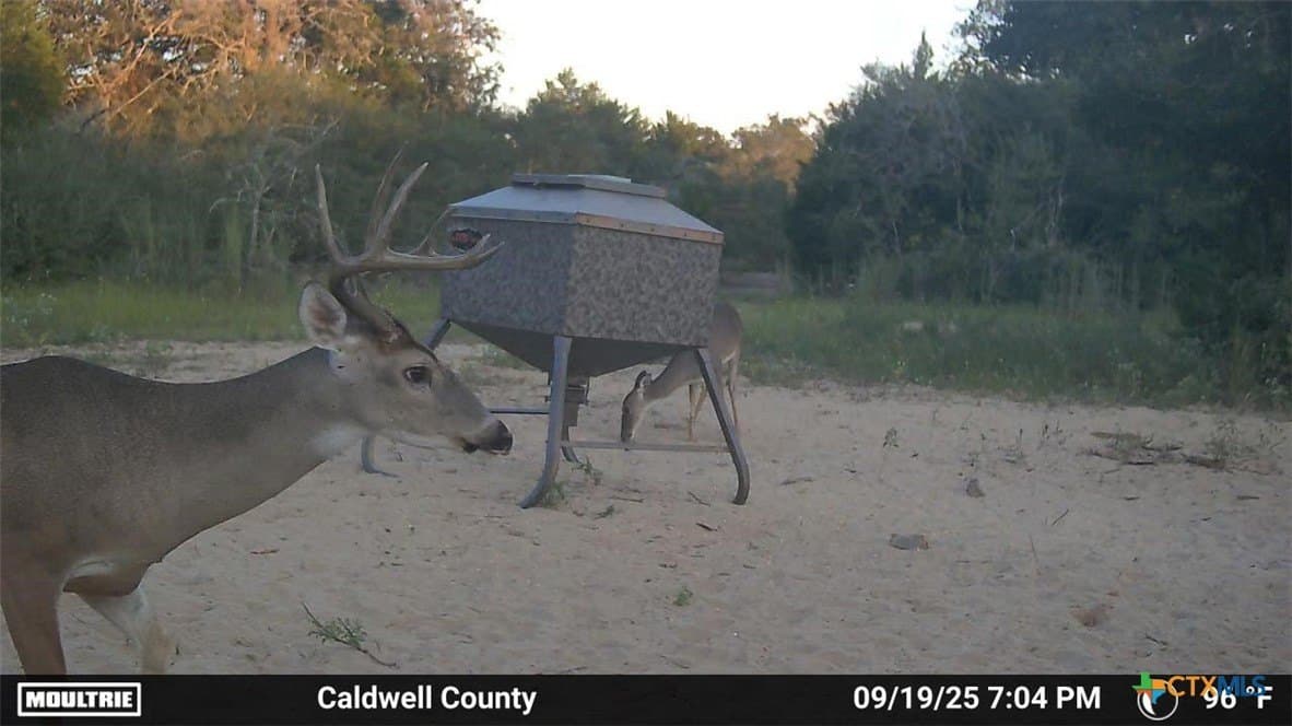 163.63 acres in Caldwell County - photo 38