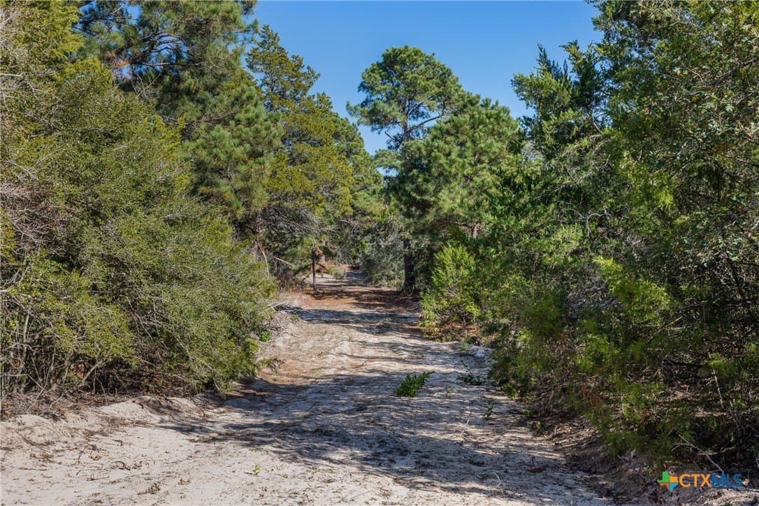 163.63 acres in Caldwell County - photo 18