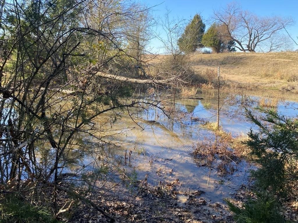 25 acres in Van Zandt County - photo 9
