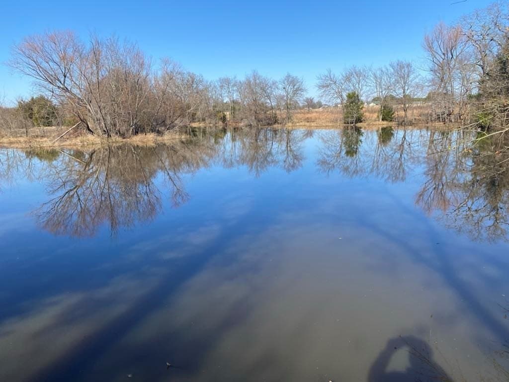 25 acres in Van Zandt County - photo 8