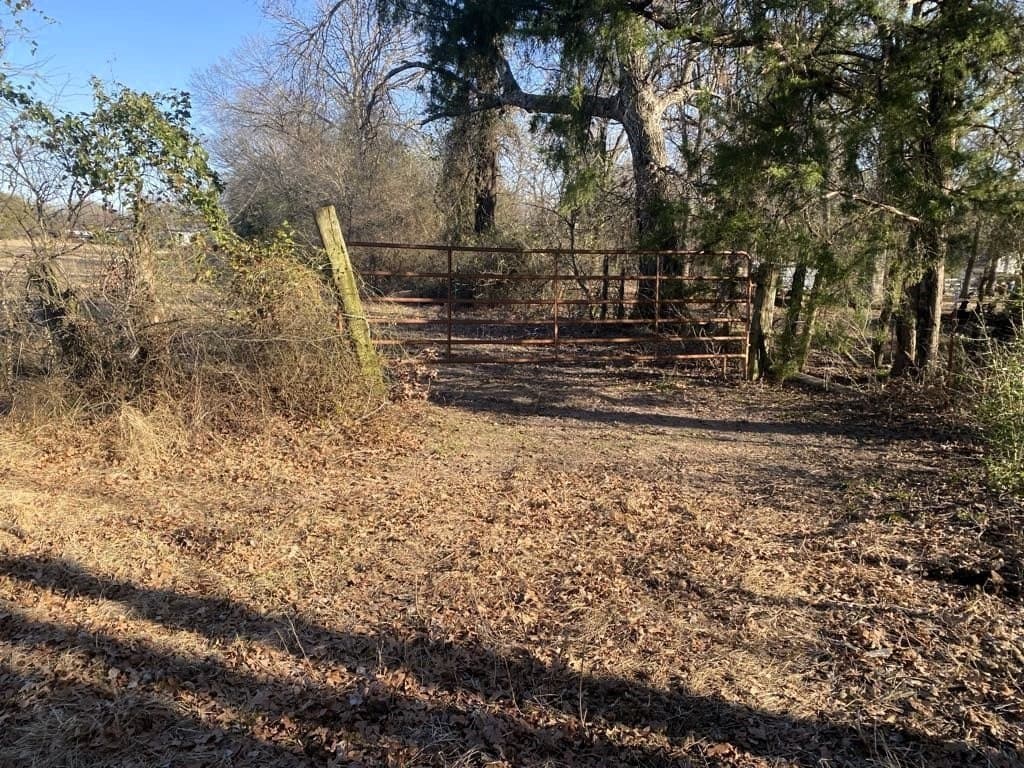 25 acres in Van Zandt County - photo 7