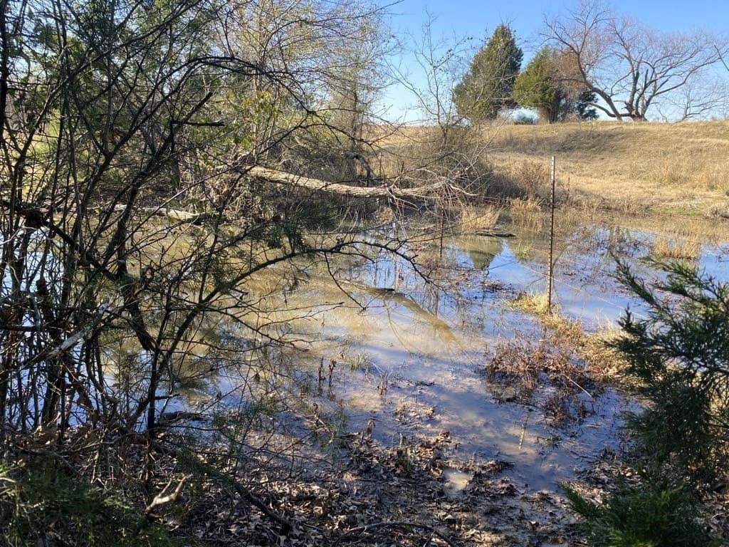 25 acres in Van Zandt County - photo 6