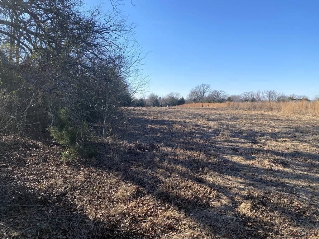 25 acres in Van Zandt County - photo 3