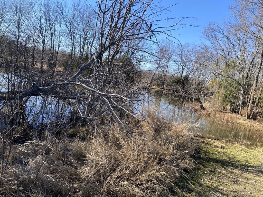 25 acres in Van Zandt County - photo 5