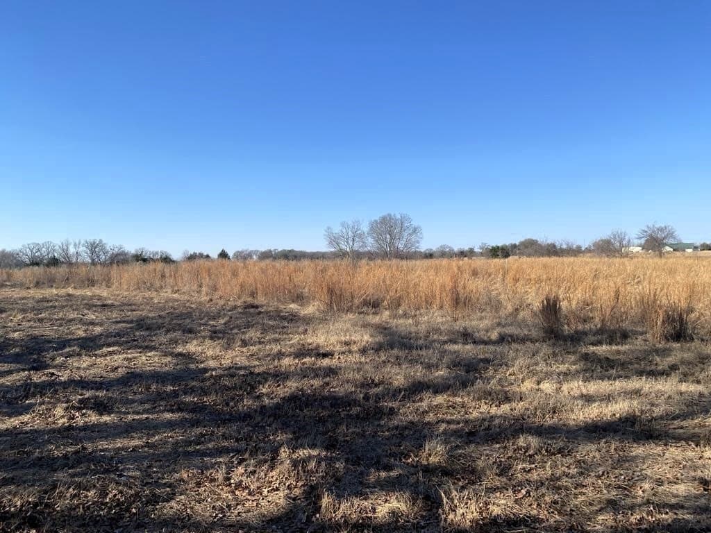 25 acres in Van Zandt County - photo 4