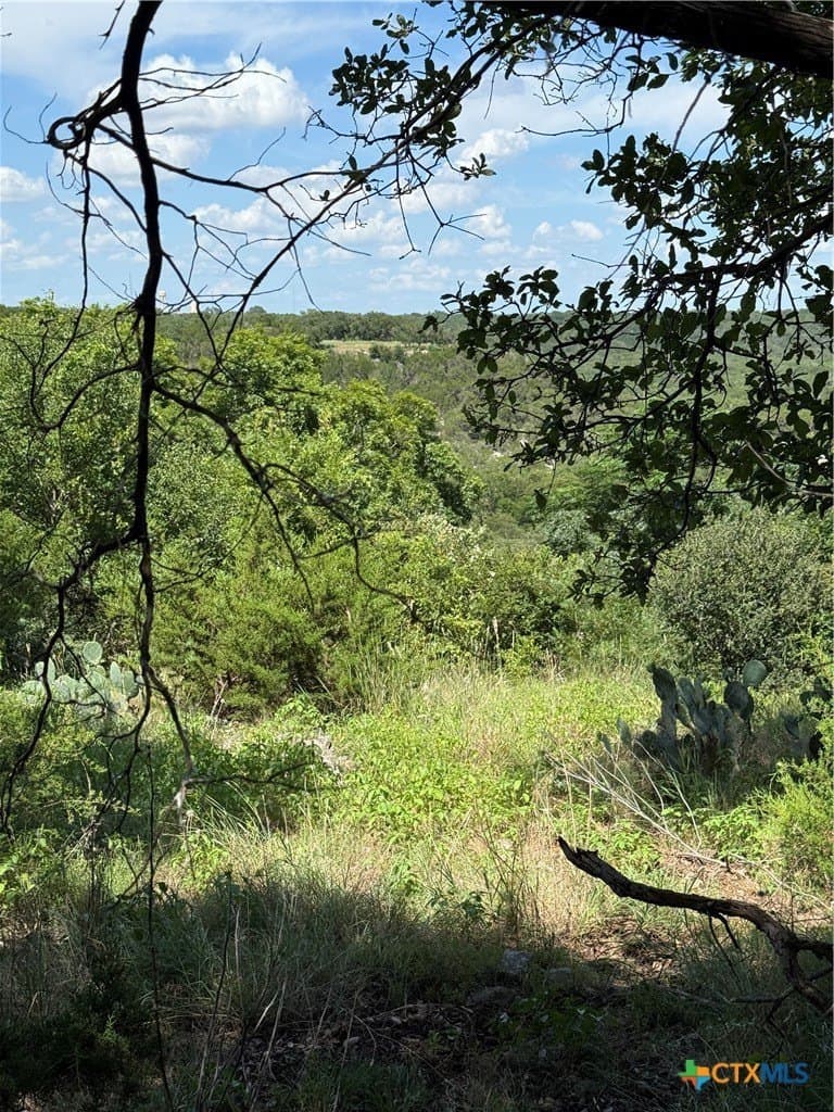 5.12 acres in Bell County - photo 3
