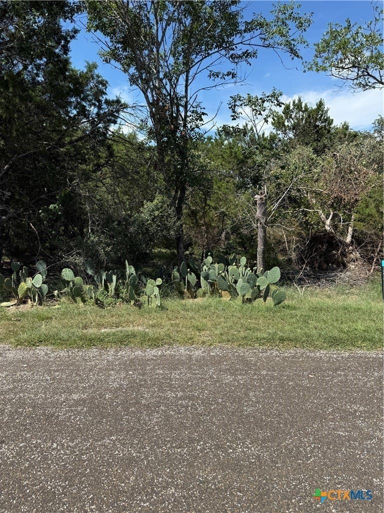 5.12 acres in Bell County - photo 2