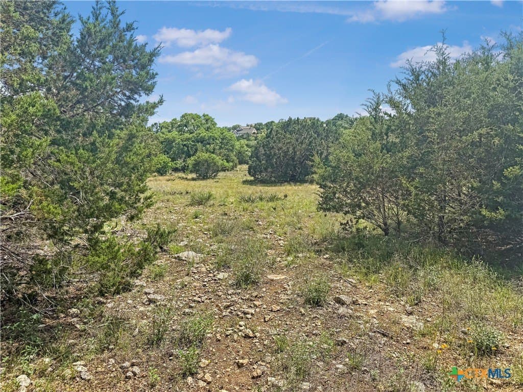 2.23 acres in Comal County - photo 9