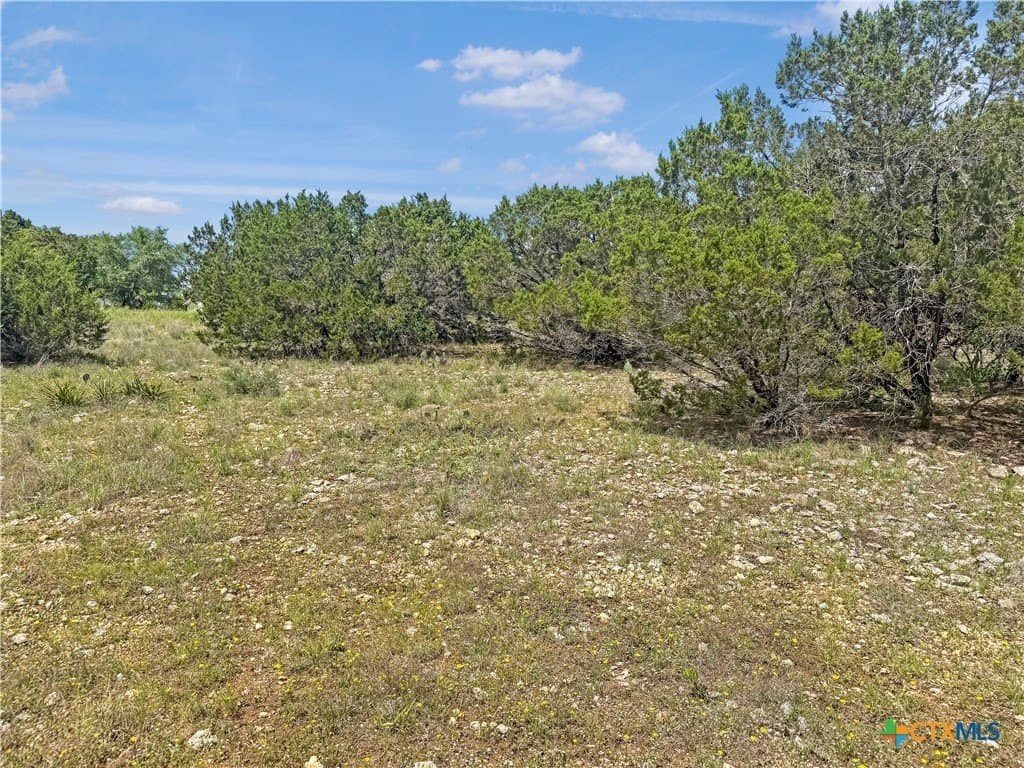 2.23 acres in Comal County - photo 5