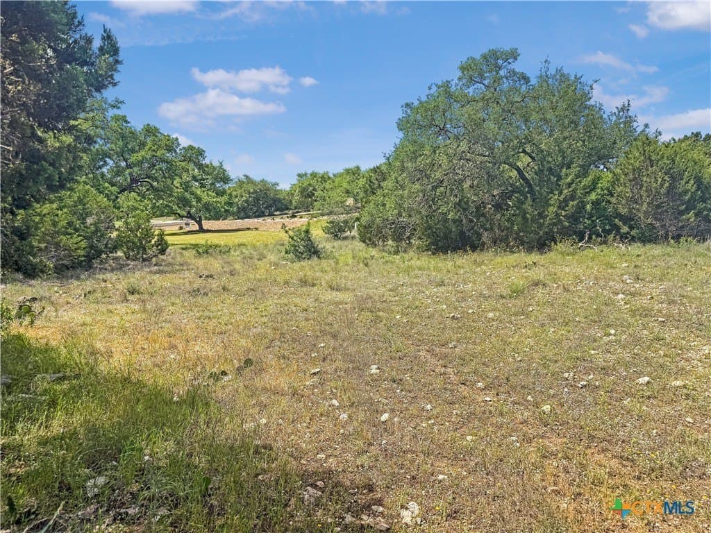 2.23 acres in Comal County - photo 6