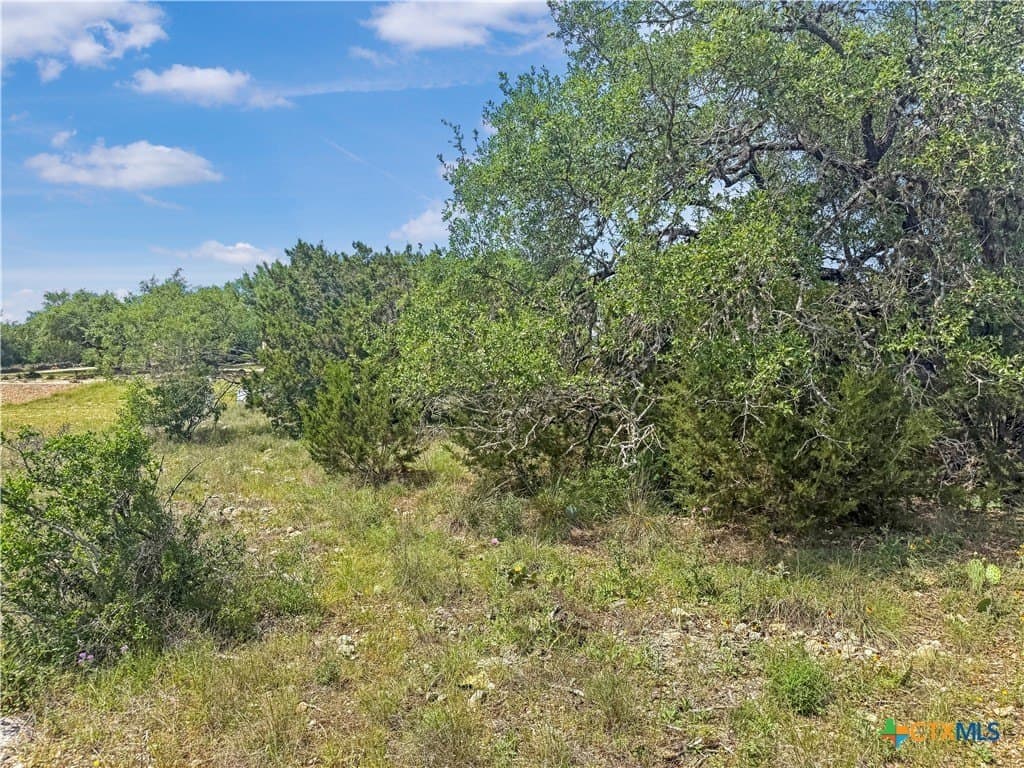 2.23 acres in Comal County - photo 3