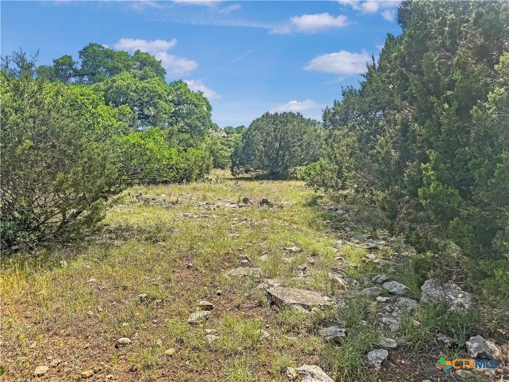 2.23 acres in Comal County - photo 4