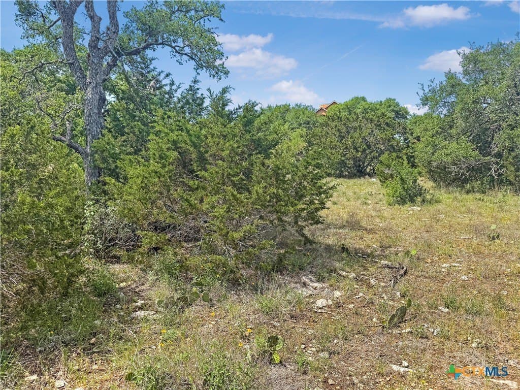 2.23 acres in Comal County - photo 7