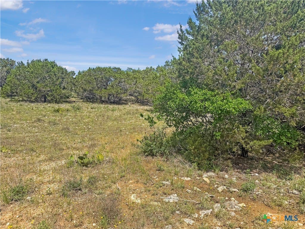 2.23 acres in Comal County - photo 8