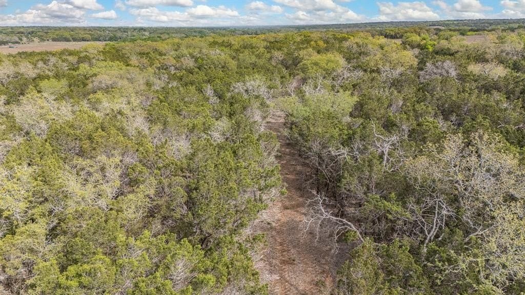 52.08 acres in Coryell County - photo 15