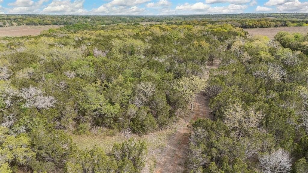 52.08 acres in Coryell County - photo 14