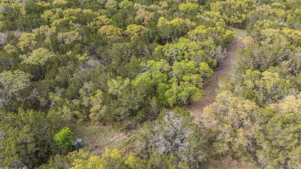 52.08 acres in Coryell County - photo 16