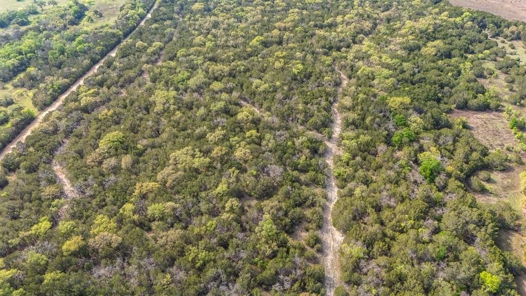 52.08 acres in Coryell County - photo 8