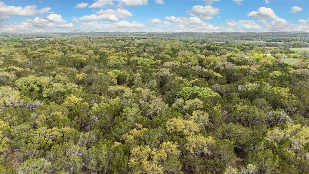 52.08 acres in Coryell County - photo 22