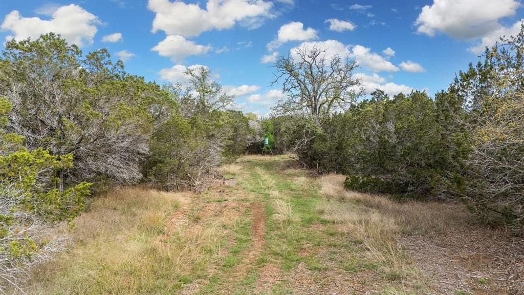 52.08 acres in Coryell County - photo 17