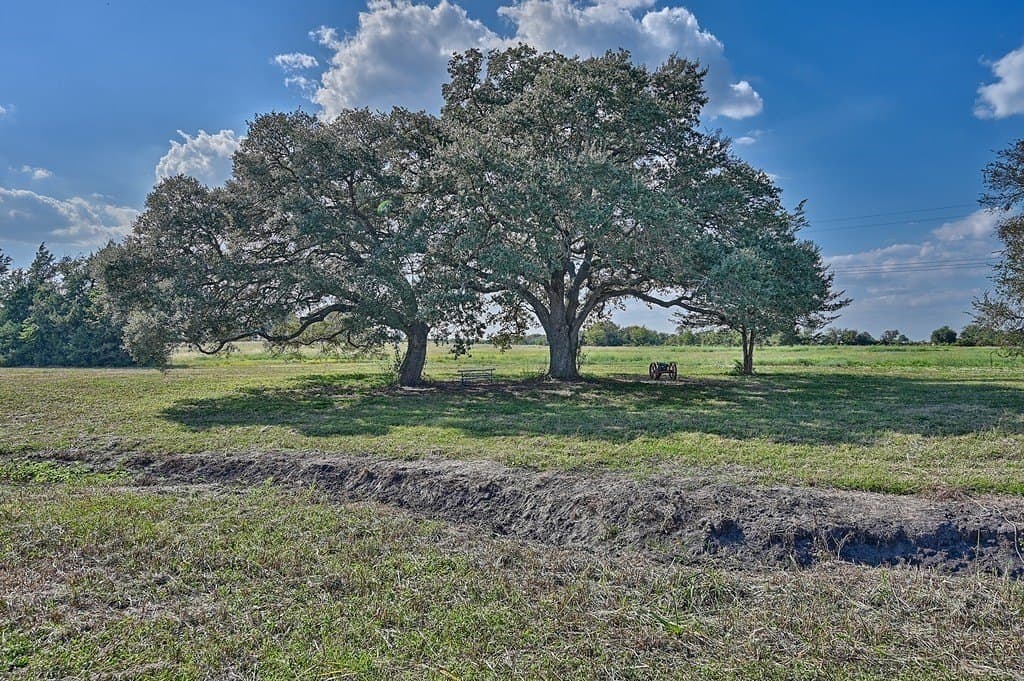 44 acres in Washington County - photo 21