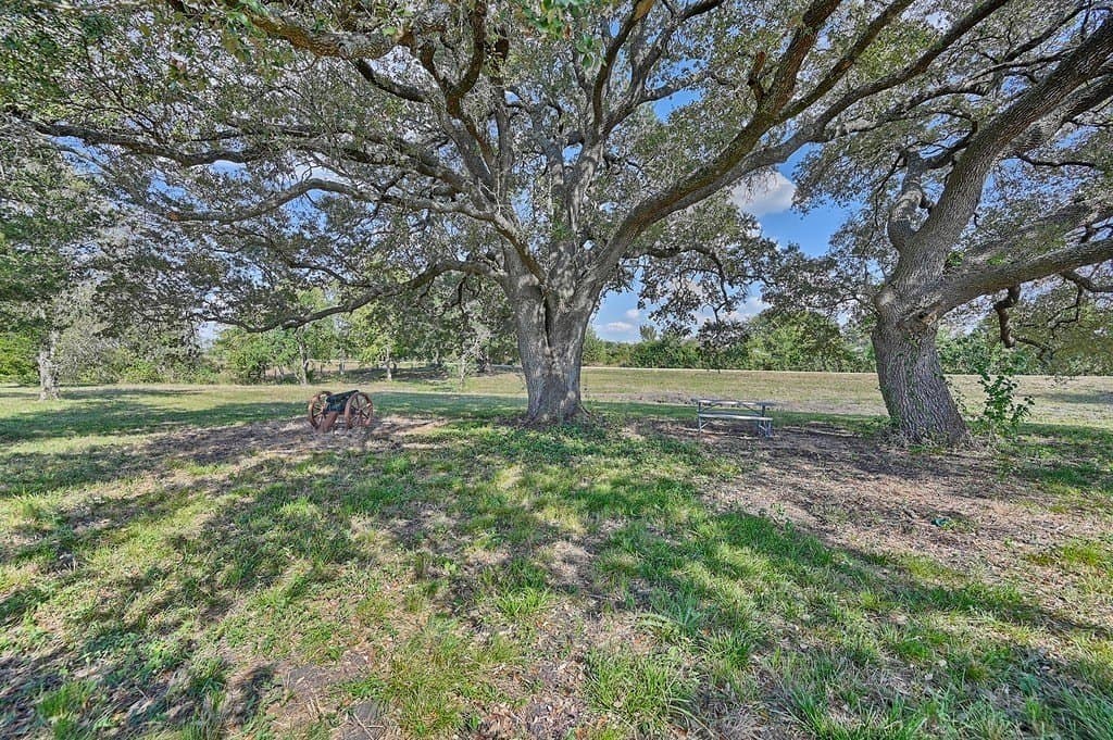 44 acres in Washington County - photo 4
