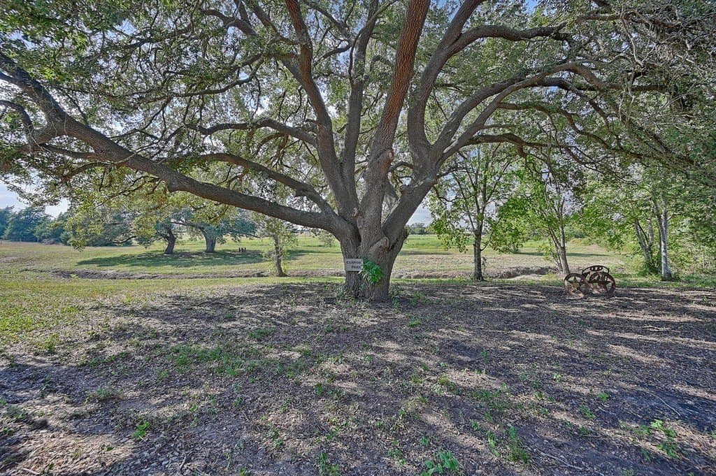 44 acres in Washington County - photo 20