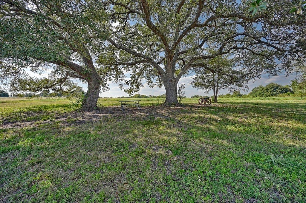 44 acres in Washington County - photo 26