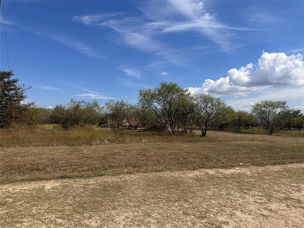 1.11 acres in Navarro County - photo 8
