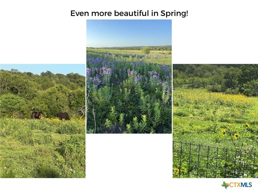 16 acres in Caldwell County - photo 41