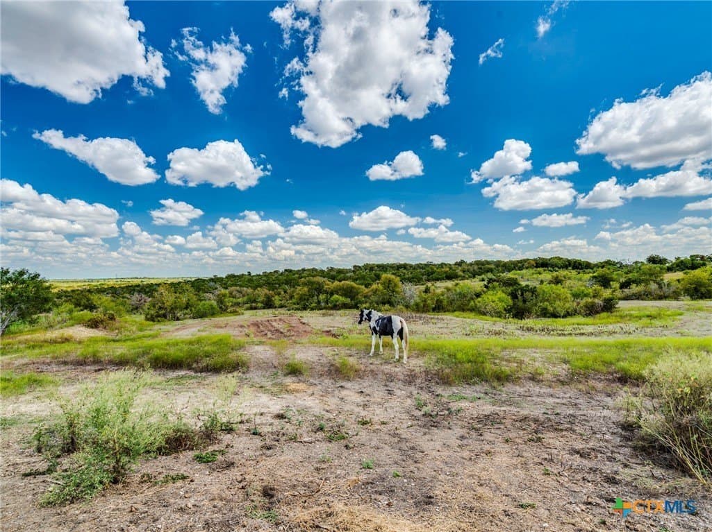 16 acres in Caldwell County - photo 31
